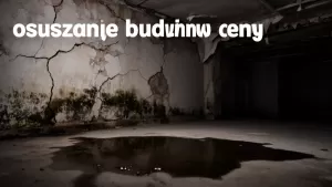 osuszanie budynków ceny