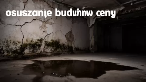 osuszanie budynków ceny